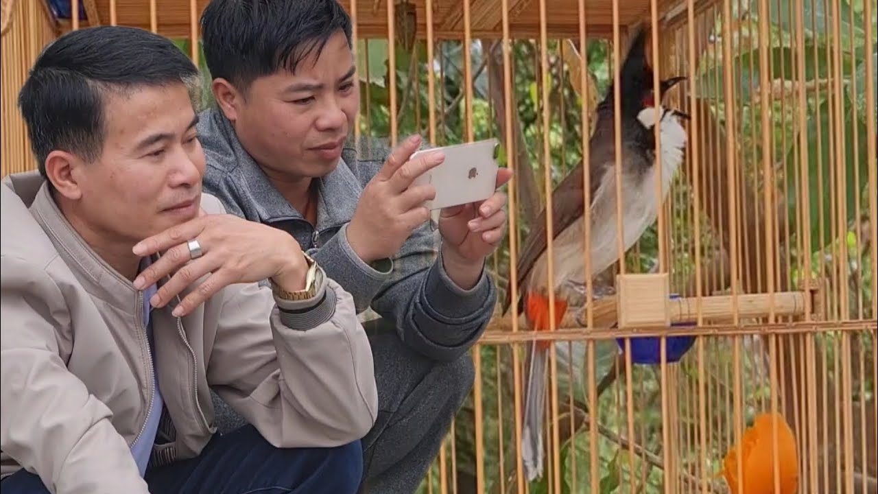 ANH EM ĐẾN XEM MQV ĐẤU ĐẶT ĐẤT VÌ QUÁ YÊU QUÝ CHÚ CHIM.