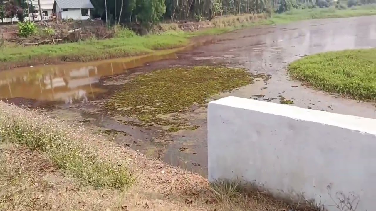 പൊൻതീരം വ്യൂ കോട്ടയം 
