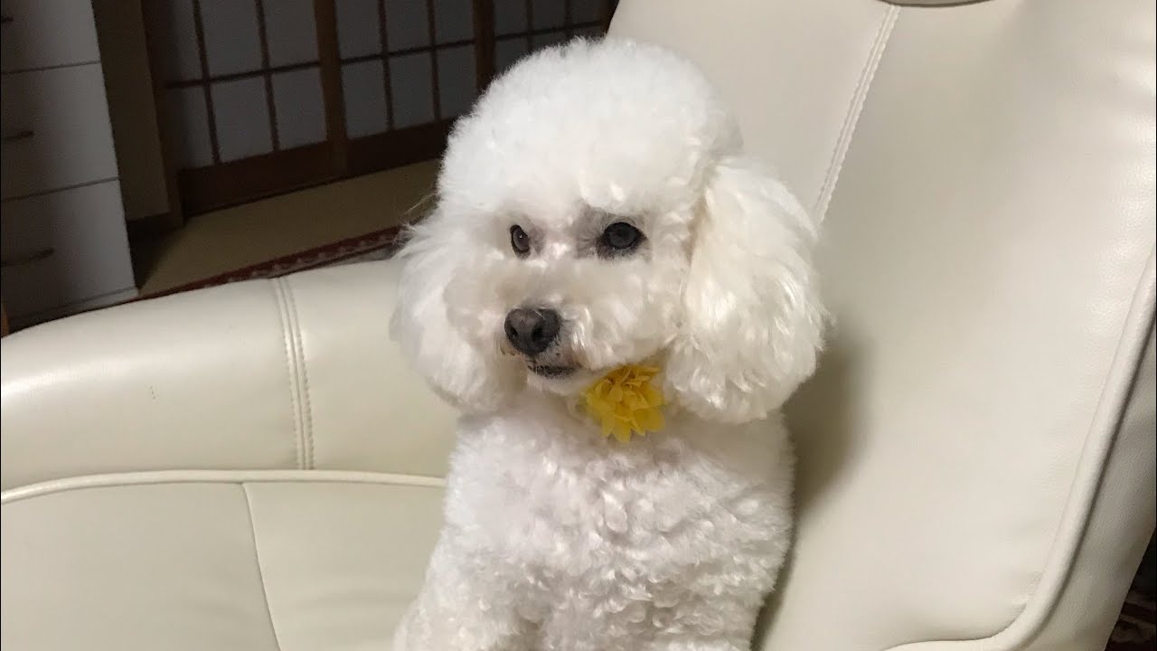 珠梨在日本的田园生活，丰富多彩的乡村生活，即充实又快乐。