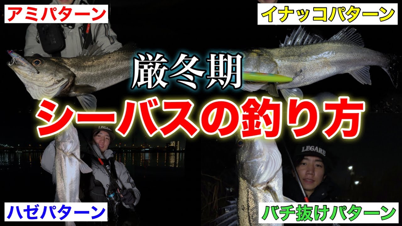 【厳冬期】この寒い時期でも釣れる条件を教えます‼︎