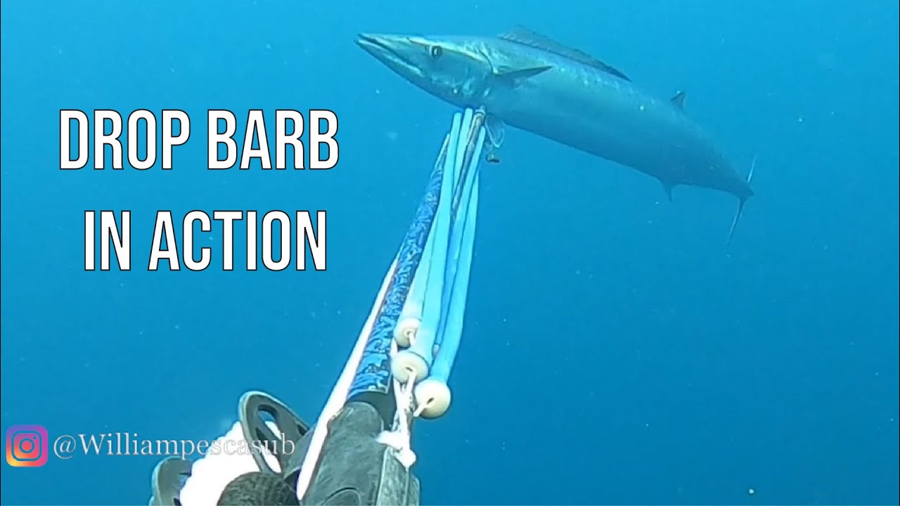 Rob Allen | Drop Barb in Action | 2022