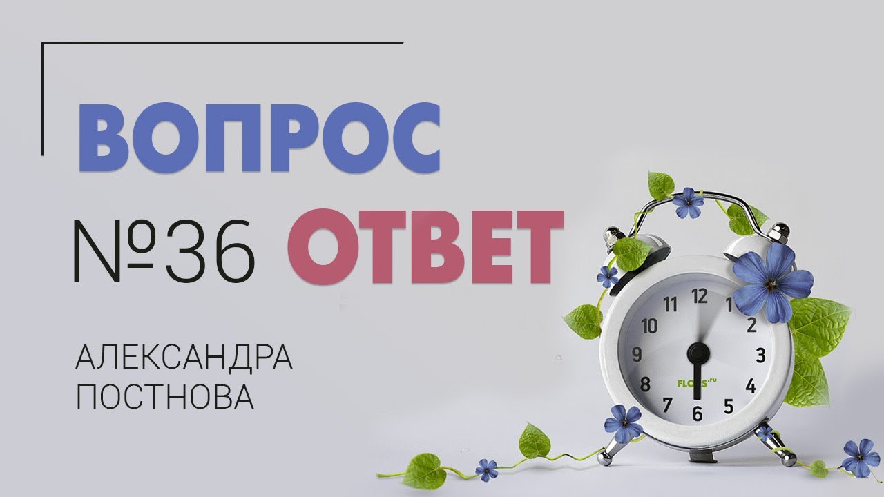 Вопрос-ответ №36 от 26.05.21 | Очищает ли хлорофитум воздух | Овладеть искусством 