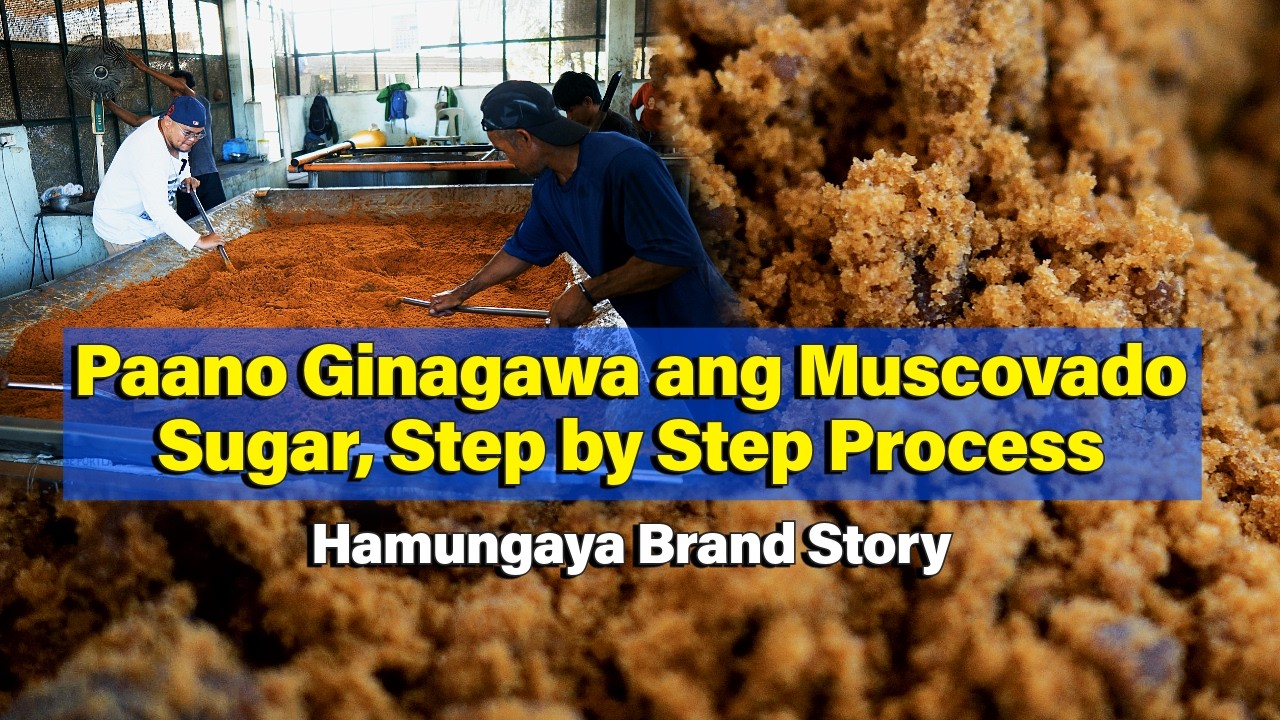 Paano Ginagawa ang Muscovado Sugar - Step by Step Process, Hamungaya Brand Story