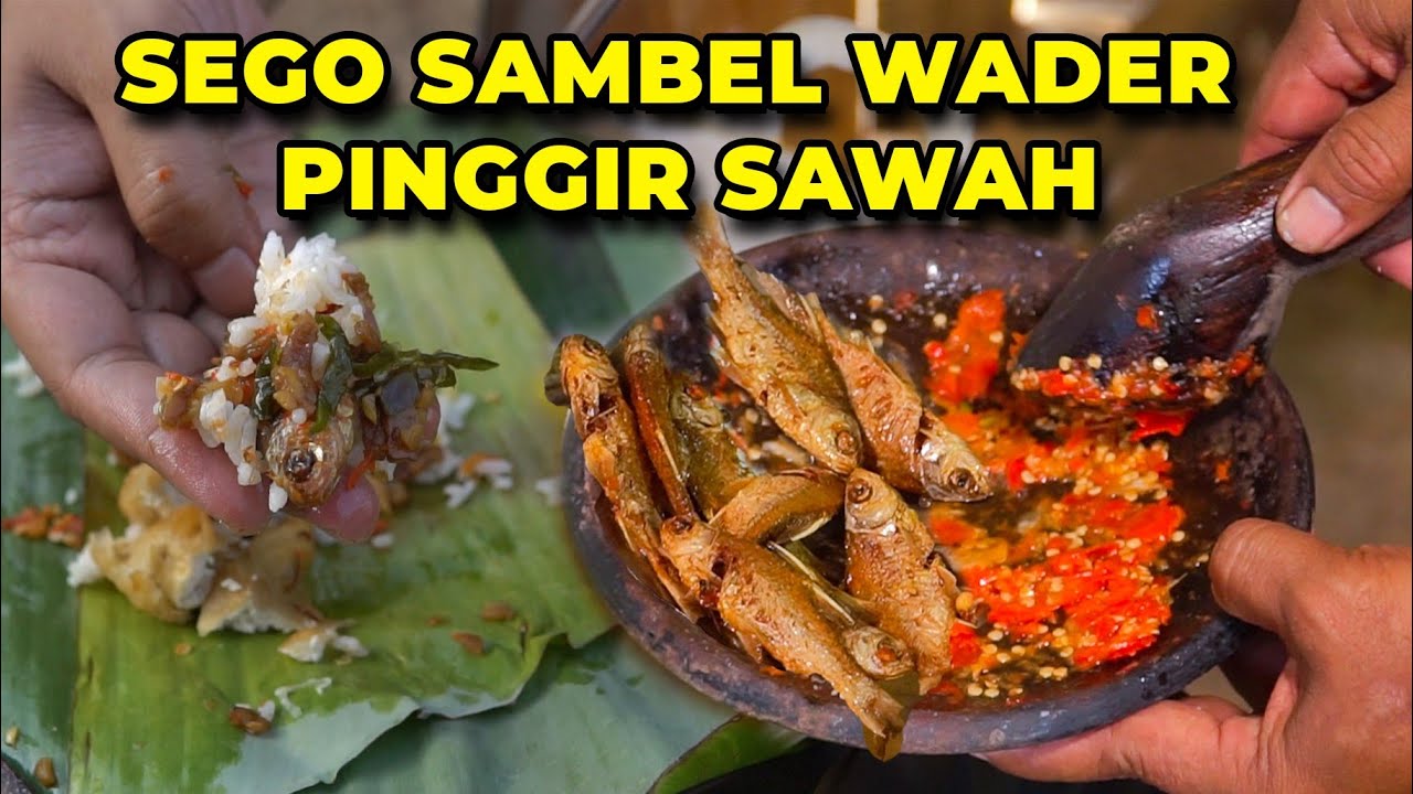 WADERNYA NGAMBIL SENDIRI DI SUNGAI! STOK TERBATAS, KALAU KESINI&nbsp;HARUS&nbsp;WA&nbsp;DULU!!