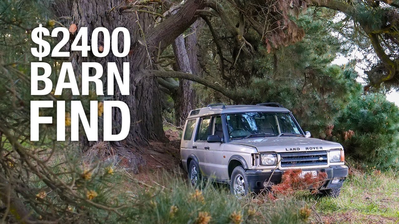 My NEW Disco 2 - 