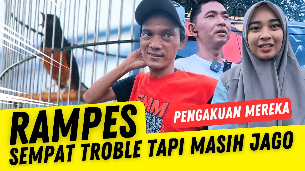 RAMPES HAMPIR GAK GANTANG ‼️ TAPI JUARA 1 KELAS UTAMA, Andri Bolang, Yuli, dan Ajeng Bilang ini
