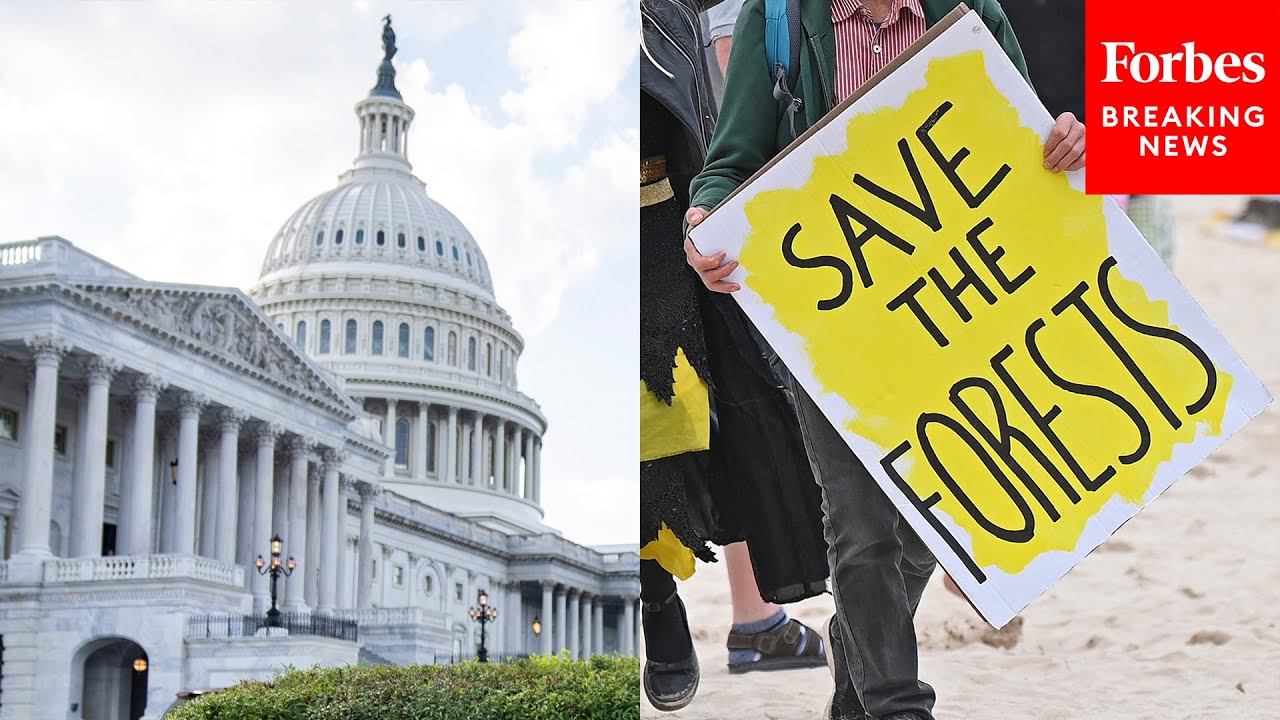 Environmental Activists Continue Protests Outside White House