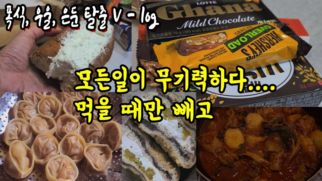 은둔외톨이)먹는것만 빼고 다 귀찮..ㅎㅎ