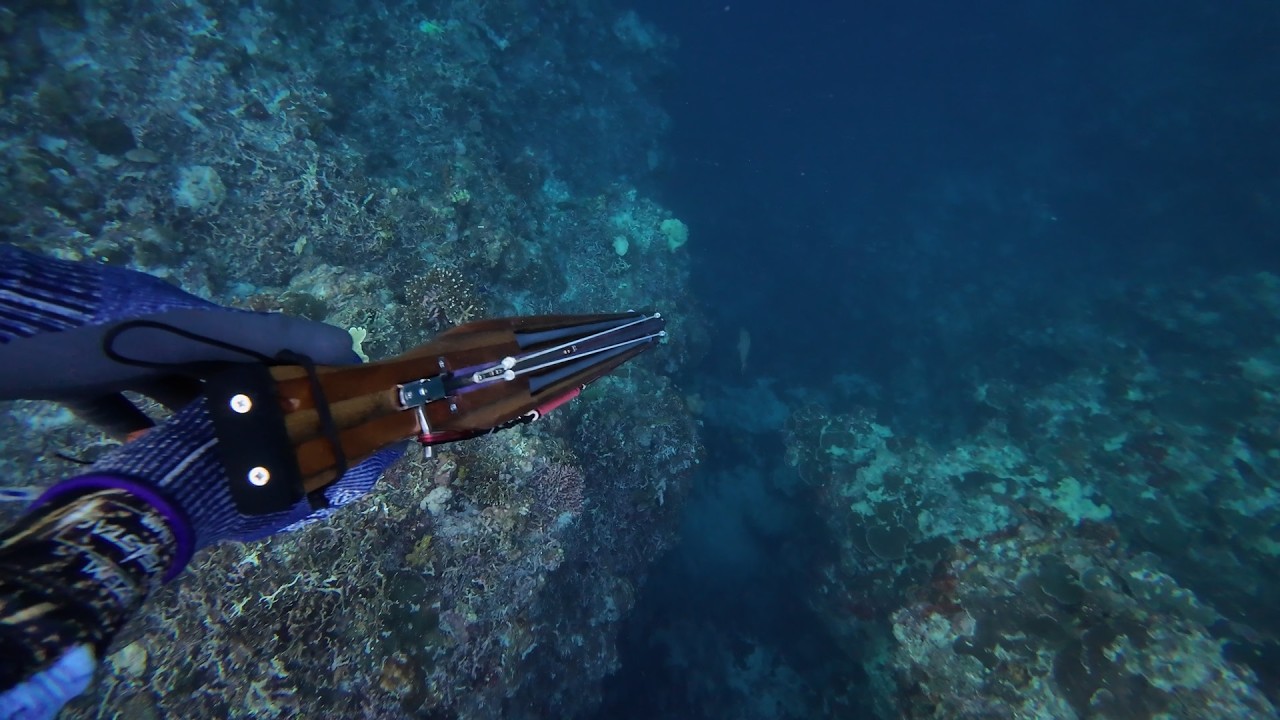 Libre na ang Panud-an! #tingatayara  #spearowannabe  #panglaobohol  #spearfishingph