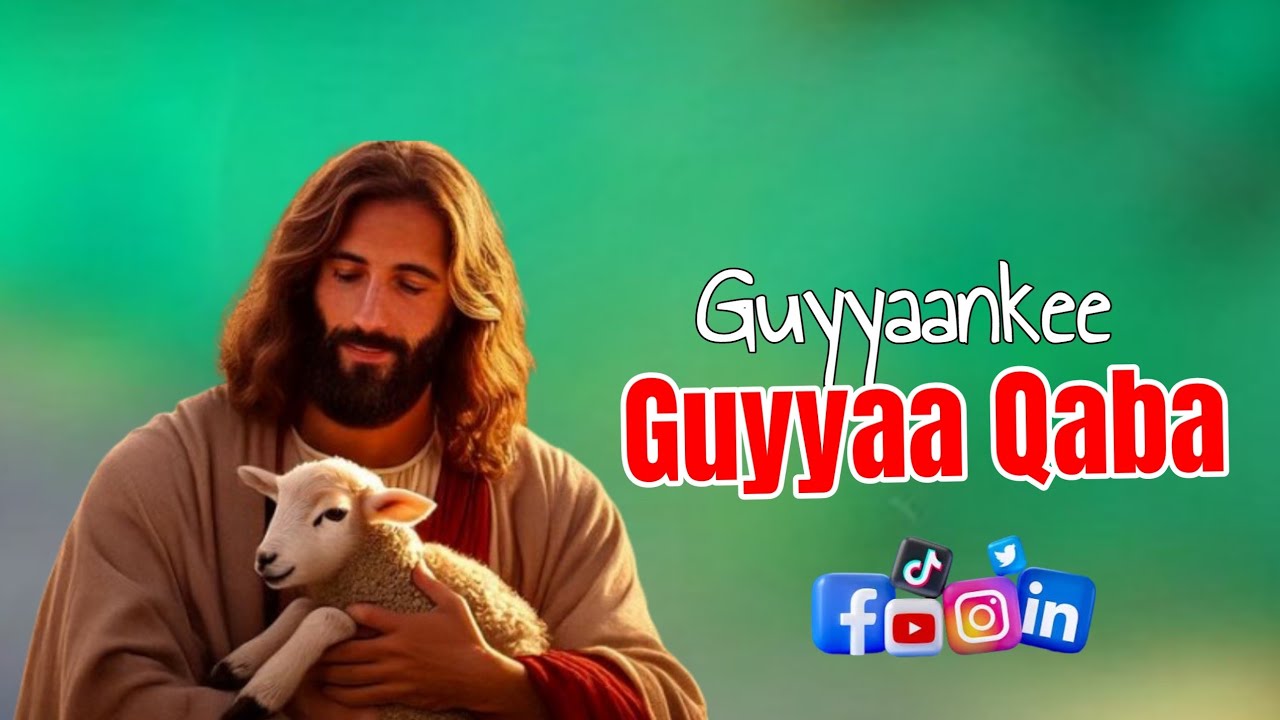 Guyyaankee guyyaa qabaa|Faarfannaa Laphee Namaa Qabbaneessu Faaruu Durii #sambe_tube