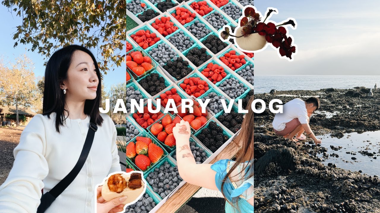 JAN VLOG｜复刻水光肌大馒头｜久违的farmers' market🍓 潮汐池看胖海星🐚