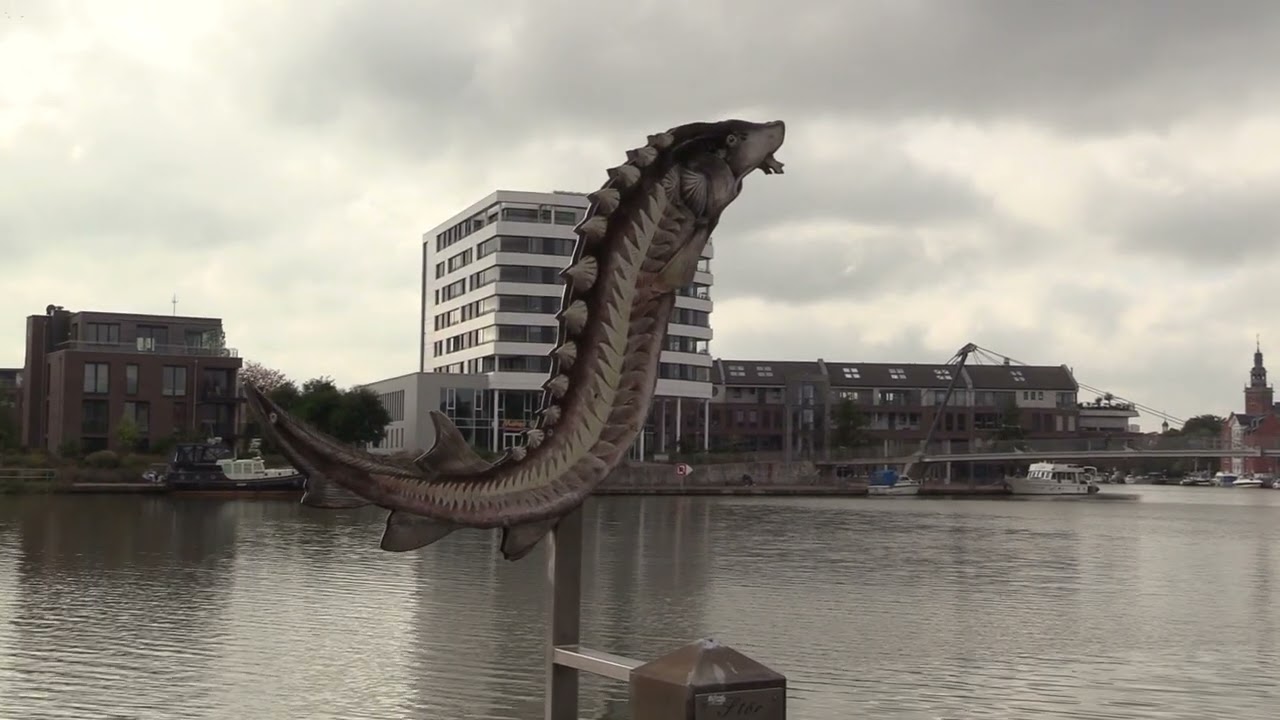 Stadtökologischer Leerpfad in Leer - 2021