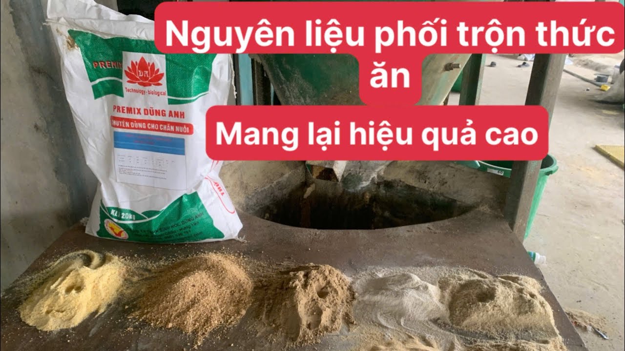 Cách phối trộn thức ăn cho lợn nái bầu và để