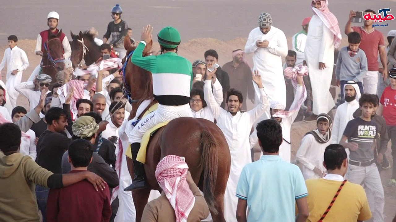 نجم نوفا للمالك احمد بن مطر الشاماني سباق الشقرة