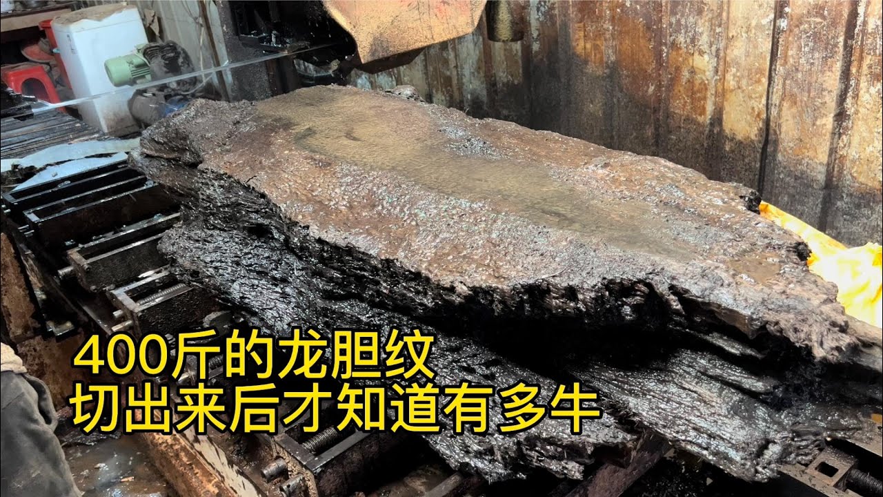 400斤的金丝楠乌木原料，开出了满满登登龙胆纹，做茶台也太美了
