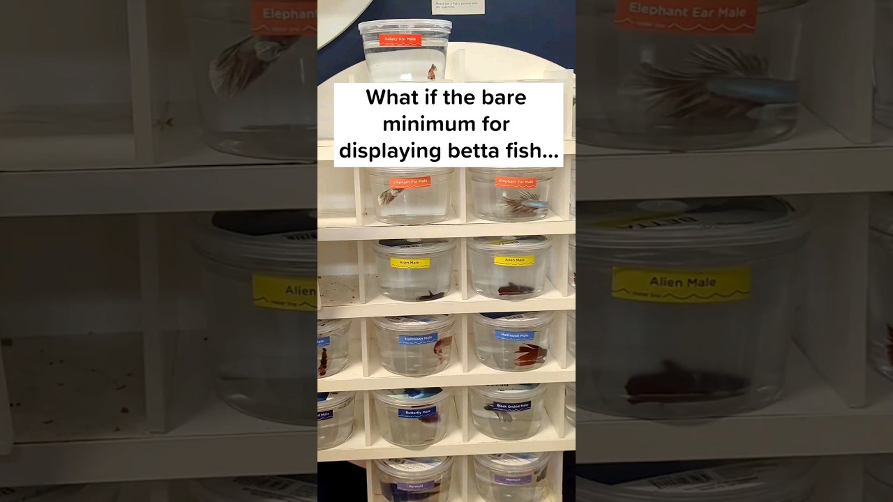 Petco, PetSmart -- set a new standard