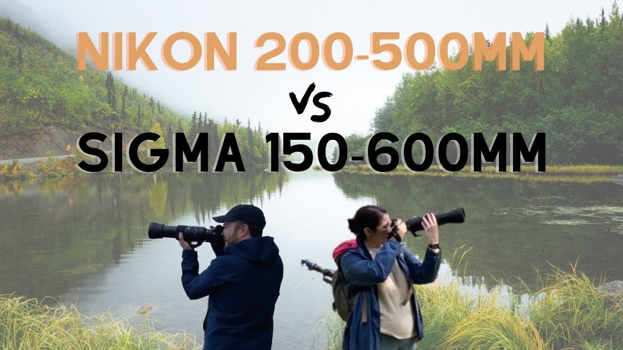 Сравнение Nikon 200-500mm с Sigma 150-600mm в полевых условиях