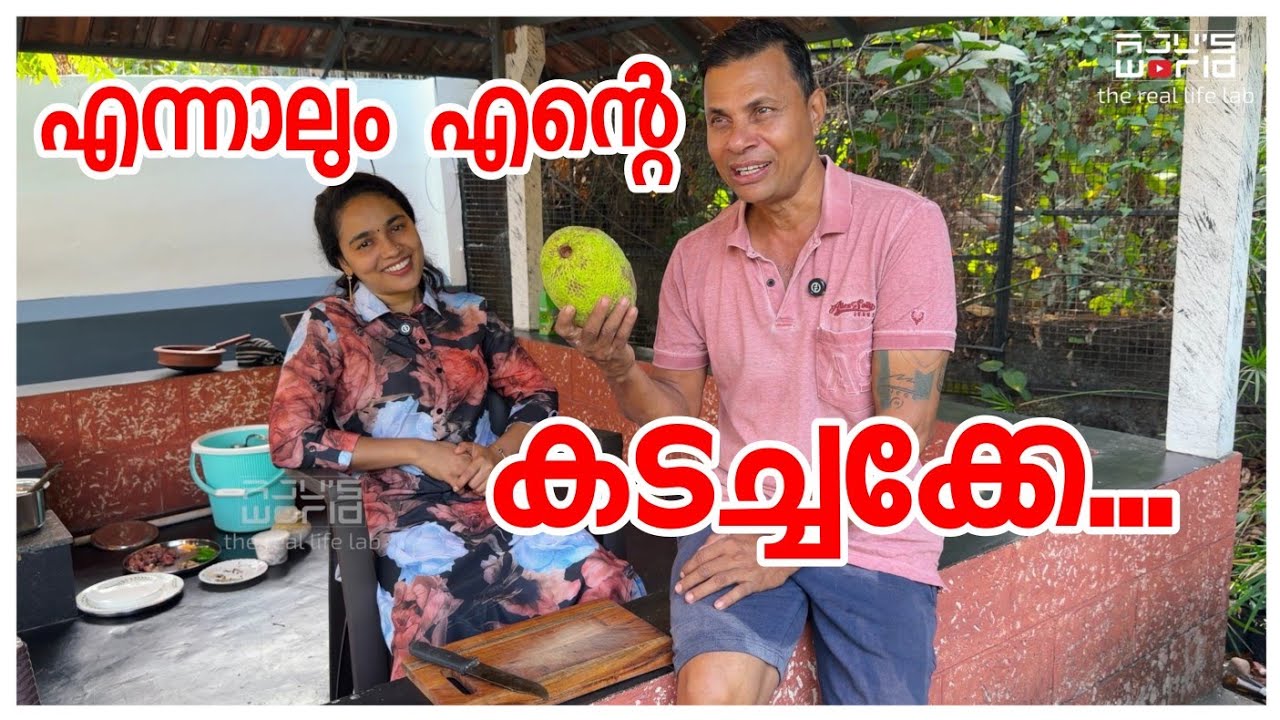 കടച്ചക്ക  കണ്ടാൽ ഇനി വിടില്ല /Family vlog/Village cooking/Keralatraditionallife 