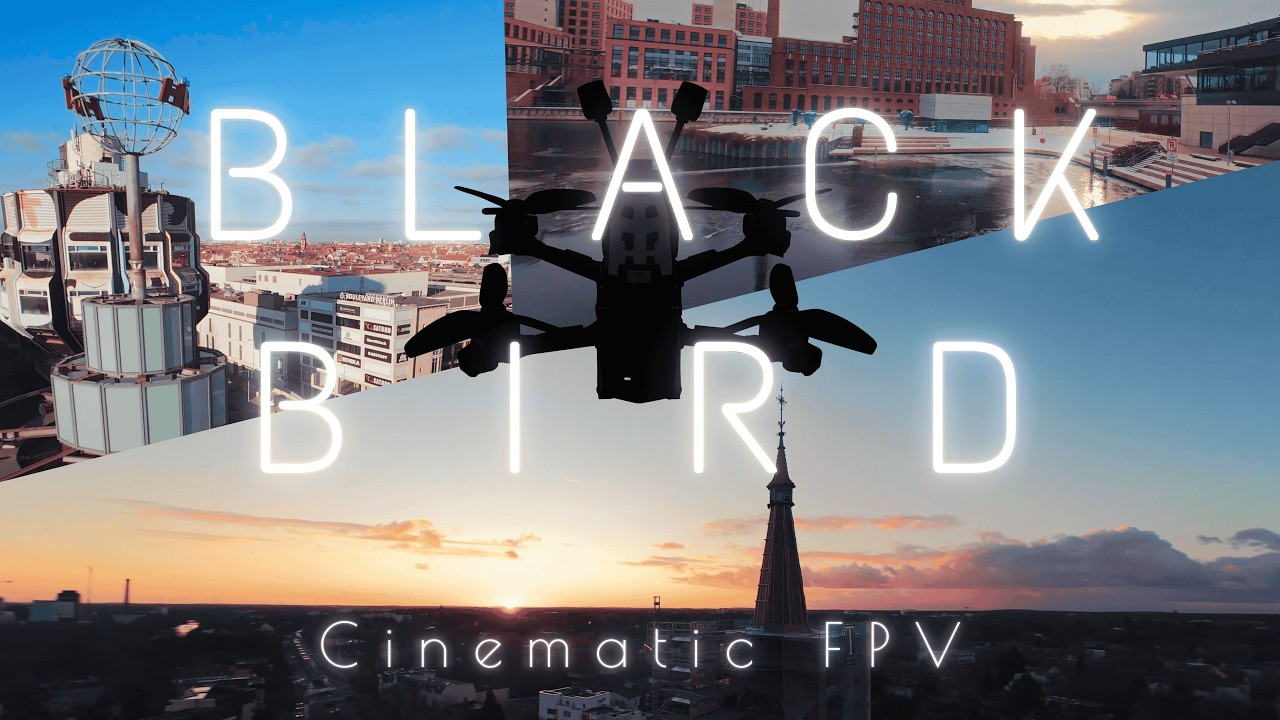 Black Bird | 4K Cinematic | FPV Drone