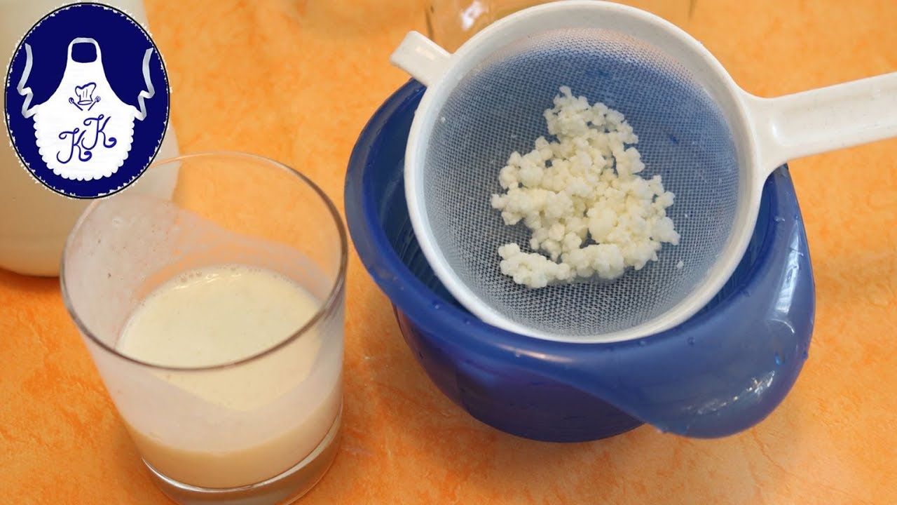 Milchkefir selber herstellen