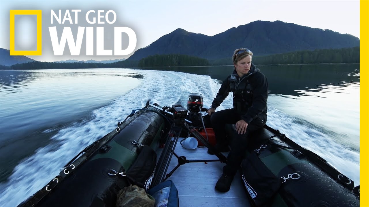 How Vancouver Island Inspired a Wildlife Photographer | wild_life with bertie gregory: Q&A