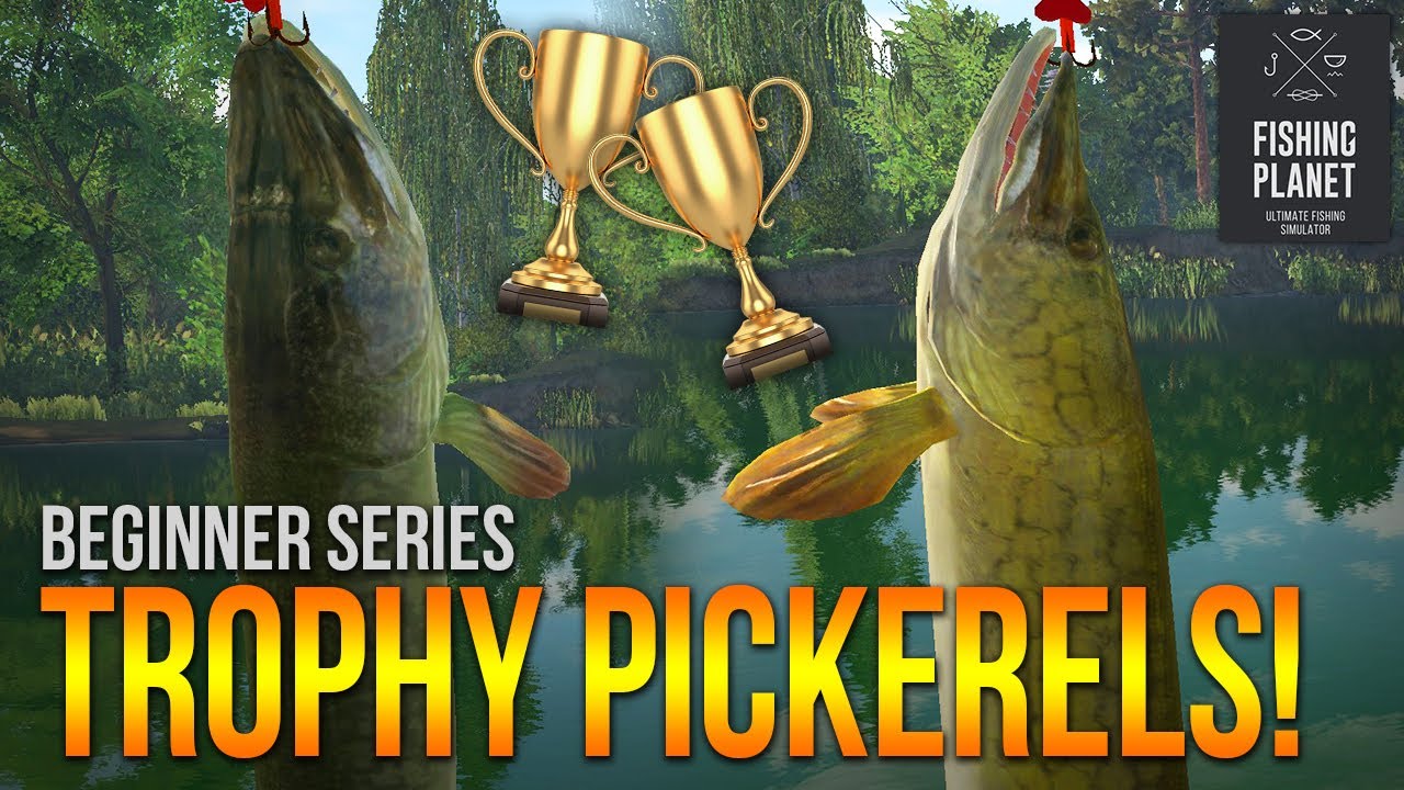 [Lvl.11] Day 2 & 3 on Mudwater River- TROPHY Pickerels! (Fishing Planet)