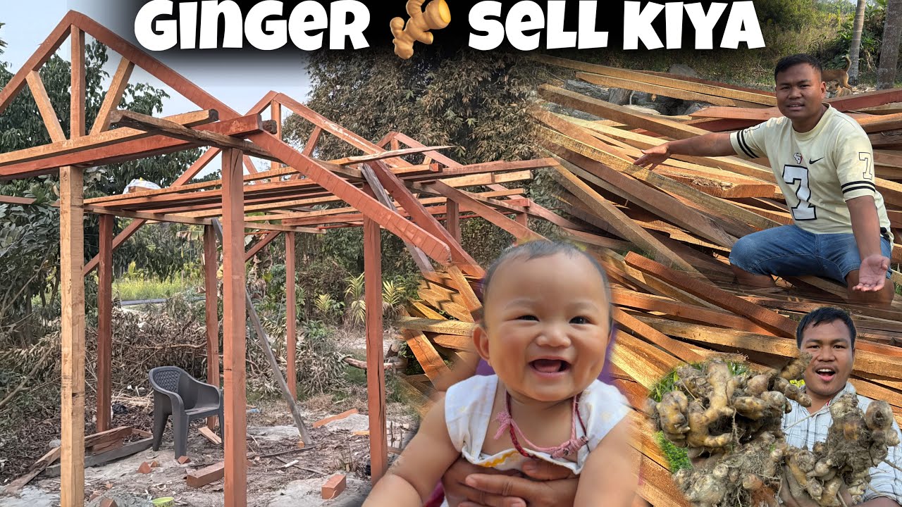 Ghar banane ke liye bahut timber kharida | Ginger 🫚 ki kheti ka paisa se 