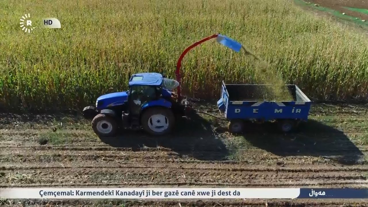 دروستکردنی ئالیکی ئاژەڵ Made in Kurdistan