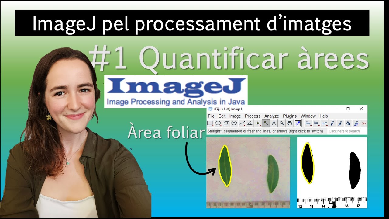 Anàlisi d'àrea foliar amb ImageJ