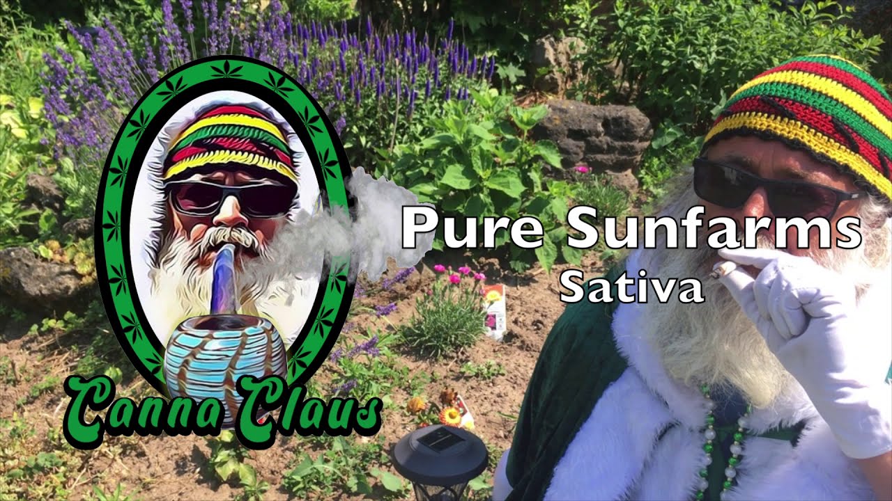 Pure Sunfarms - Sativa - $100 Sativa Ounce! 🔥