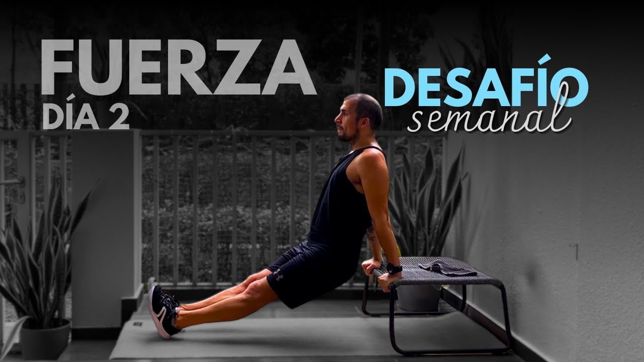 2. RUTINA DE FUERZA - CIRCUITO DE 15 MIN CON TU PESO CORPORAL