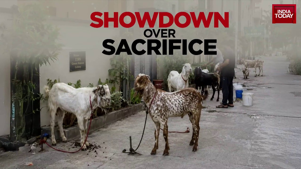 Bakrid Goat Sacrifice Row Grips Mumbai Housing Societies Amid Political Clash | India Today