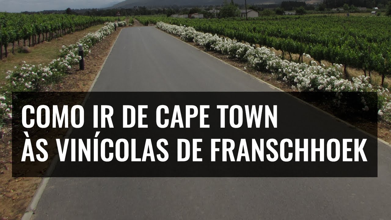 Dicas de Cape Town: bate-volta nas vinícolas de Franschhoek