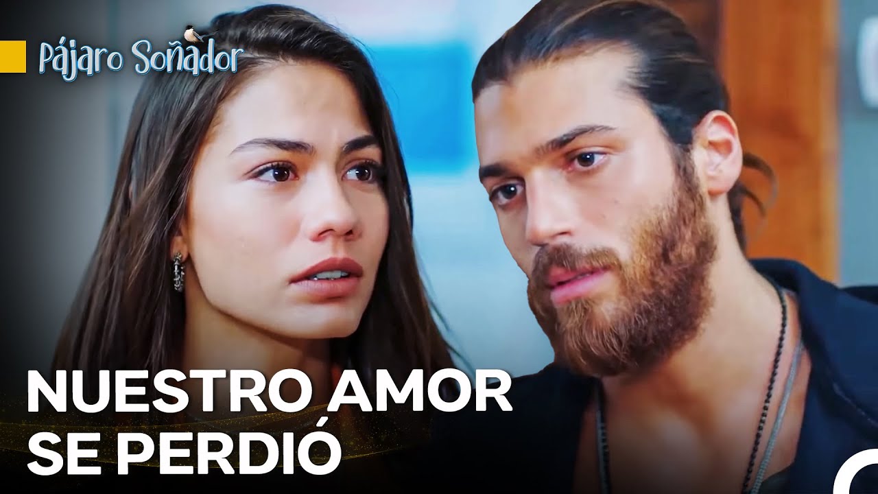El Final Del Gran Amor En 5 Horas - Pájaro Soñador