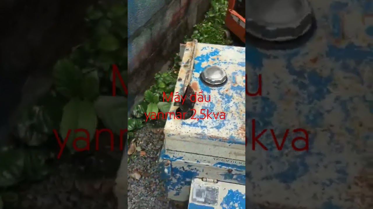 m&aacute;y dầu th&ugrave;ng 2,5kva #diengioanhnguyet #&aacute;nhnguyệt #điệngi&oacute;