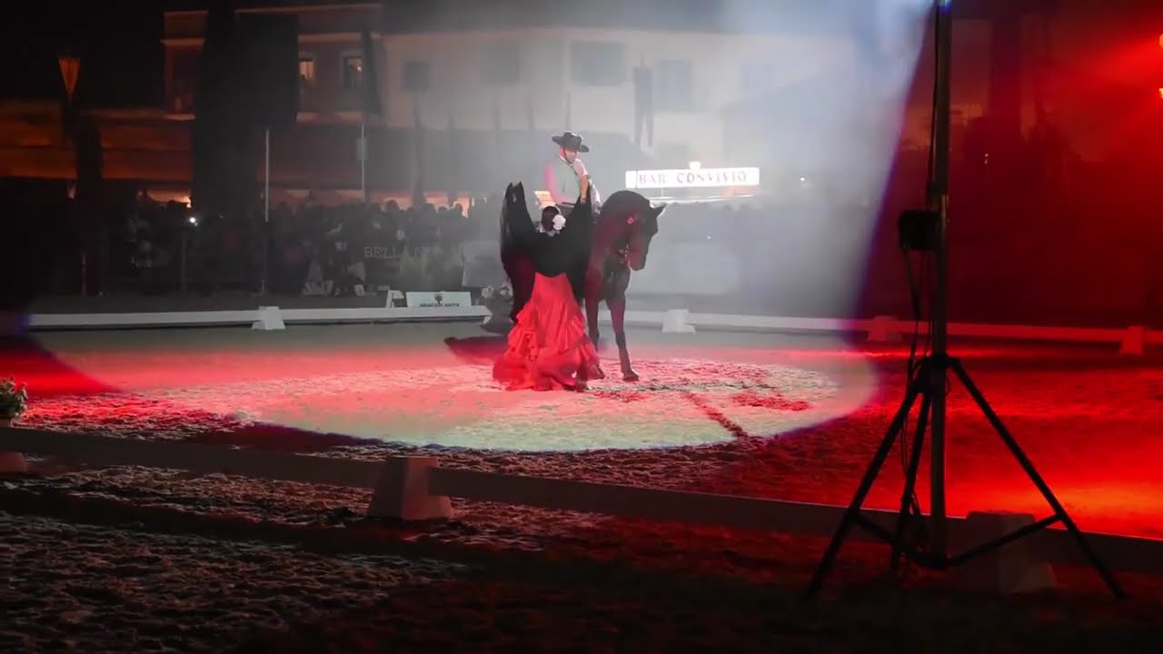 Golegã 2015   Gala Equestre  1ª Parte