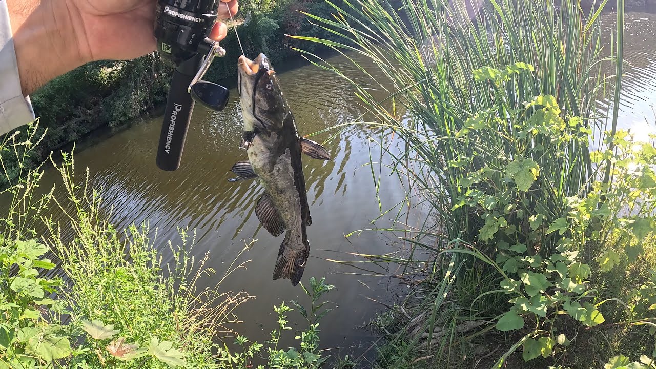 Los Angeles LA River Fishing for Catfish - California