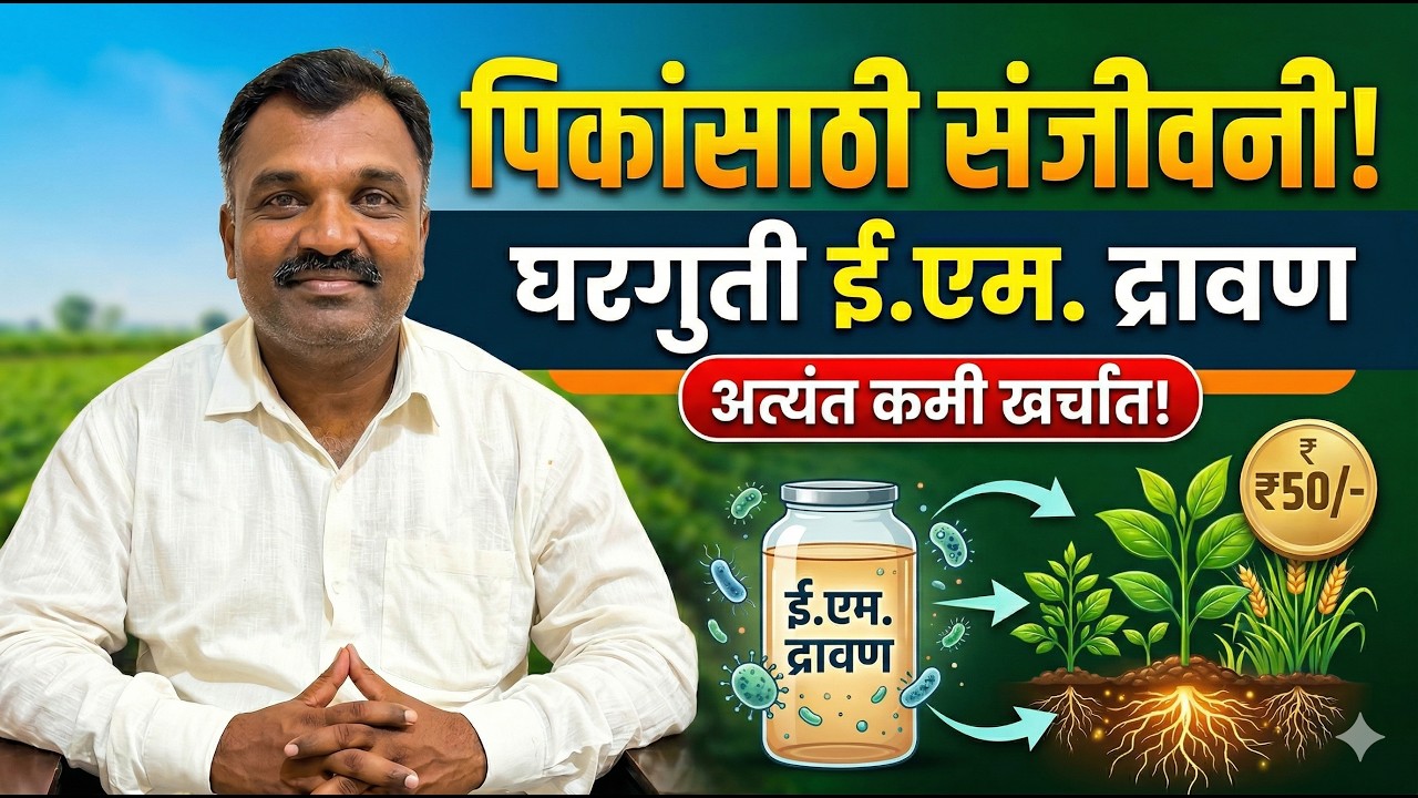 इ म बनवा  How to make E M Solution in home