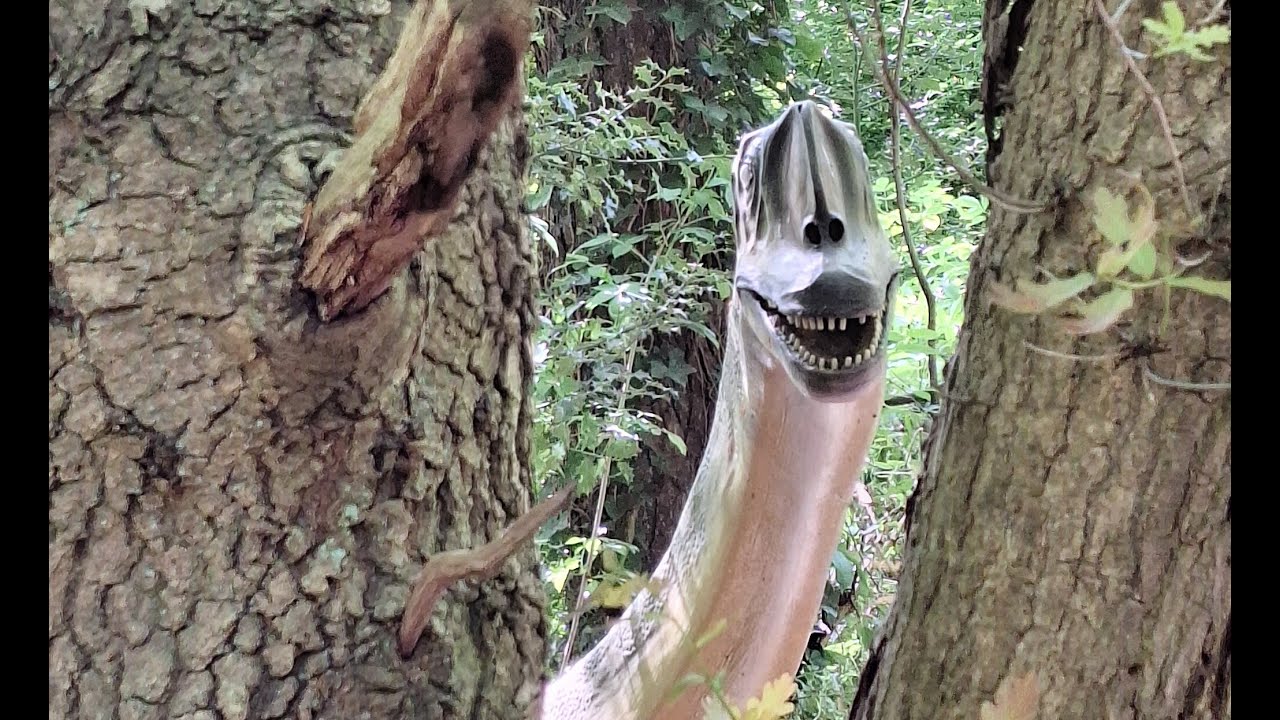 2025 Dino Adventure Dierenpark Amersfoort