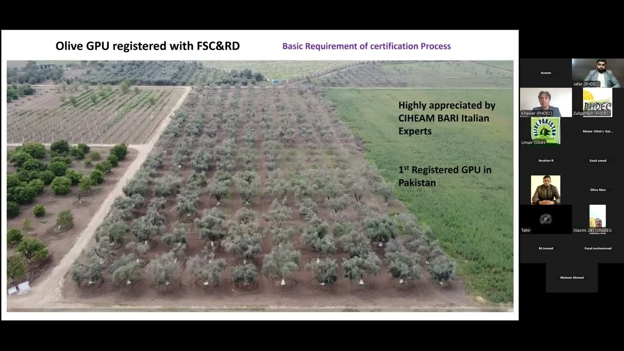 Olive Orchard Management for Sustainable Olive Production