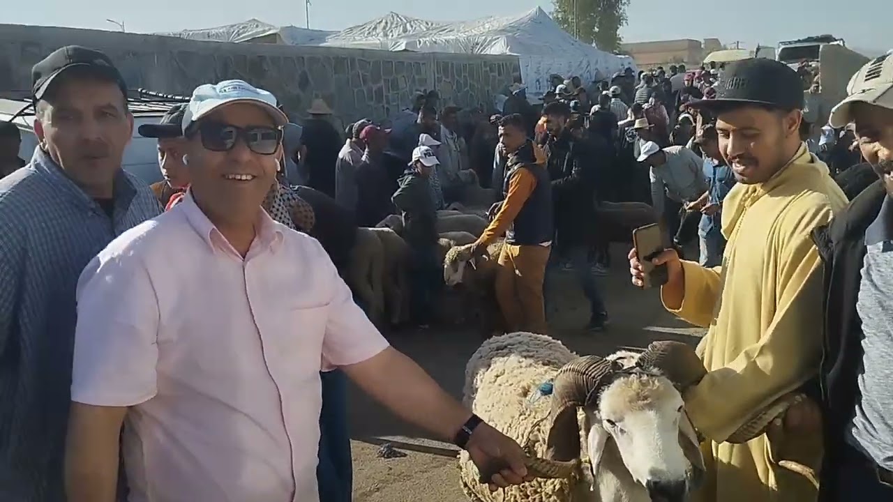 ،💥لي ممشاش يشري الحولي،،🐏🐏و البقري،🐂🐂من الجمعة دحودران فلت الفرصة كاين المليح راس السوق