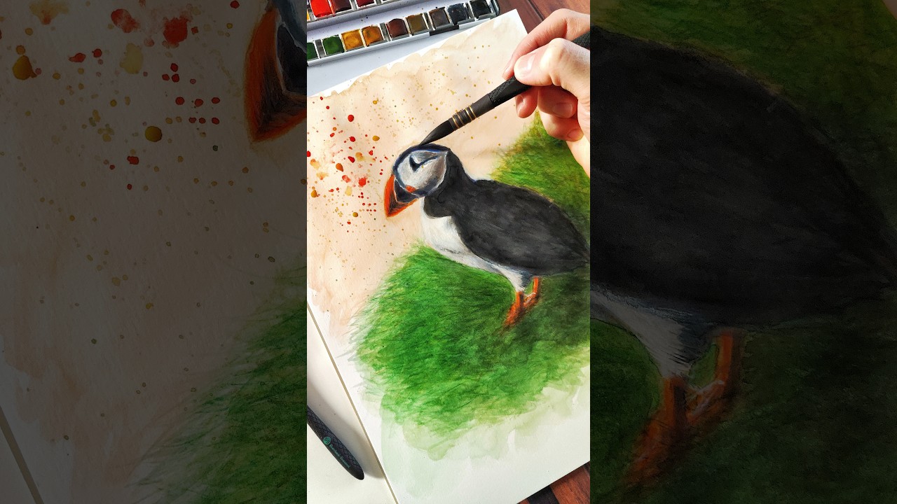 Puffin in Watercolor #painting #watercolor #wildlife #puffin #shorts #portrait #drawing #arttutorial