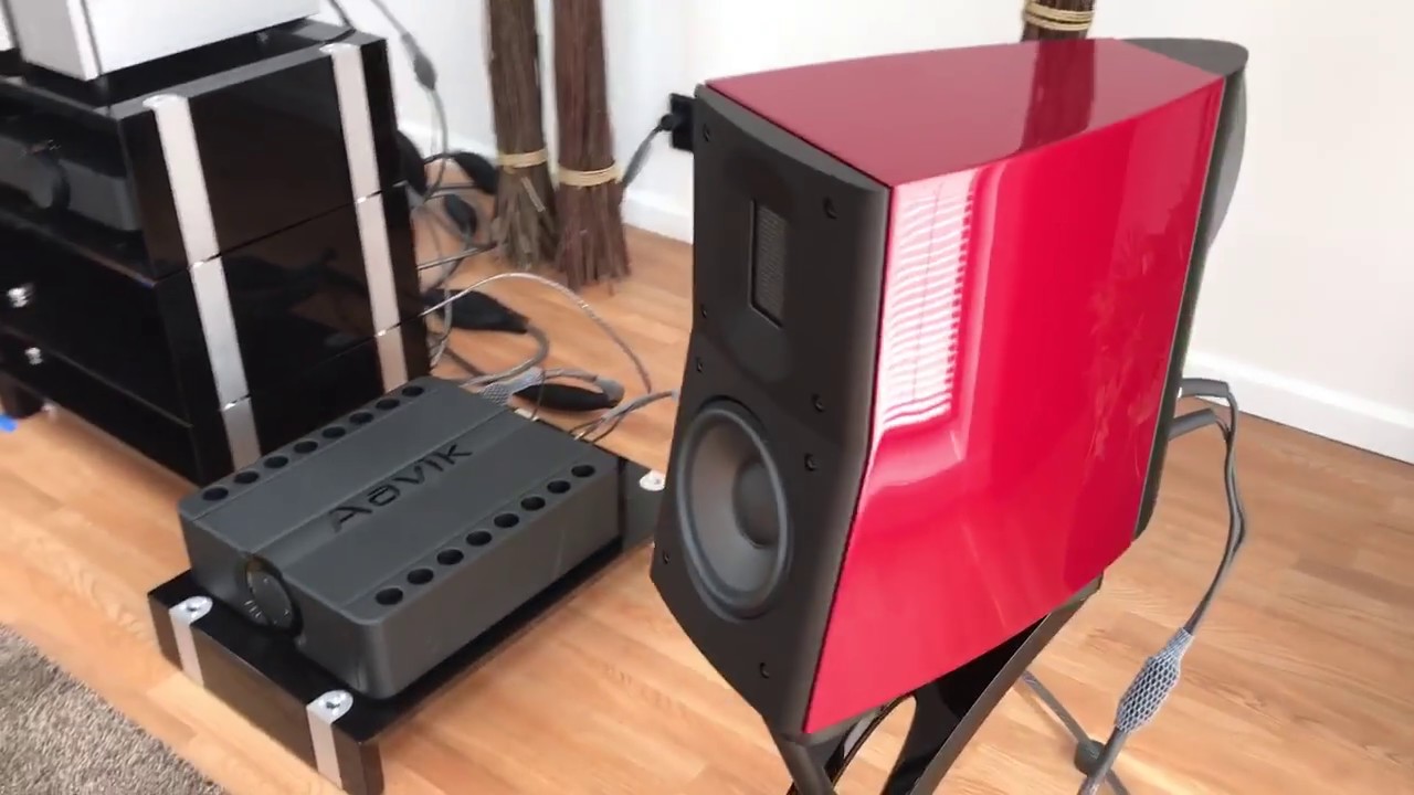 Aavik Acoustics M 300 mono amplifiers