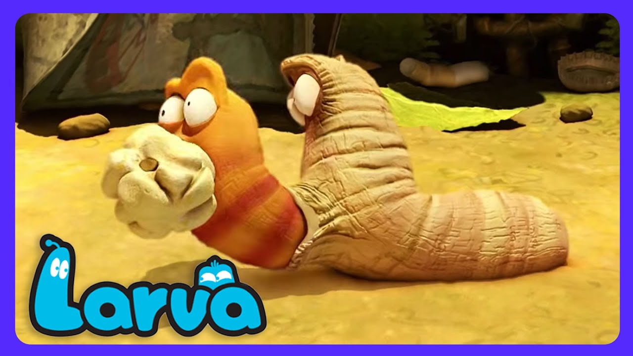 Larva - ¡Palomitas de Maíz en el Sol! | Dibujos Infantiles | WildBrain Niños