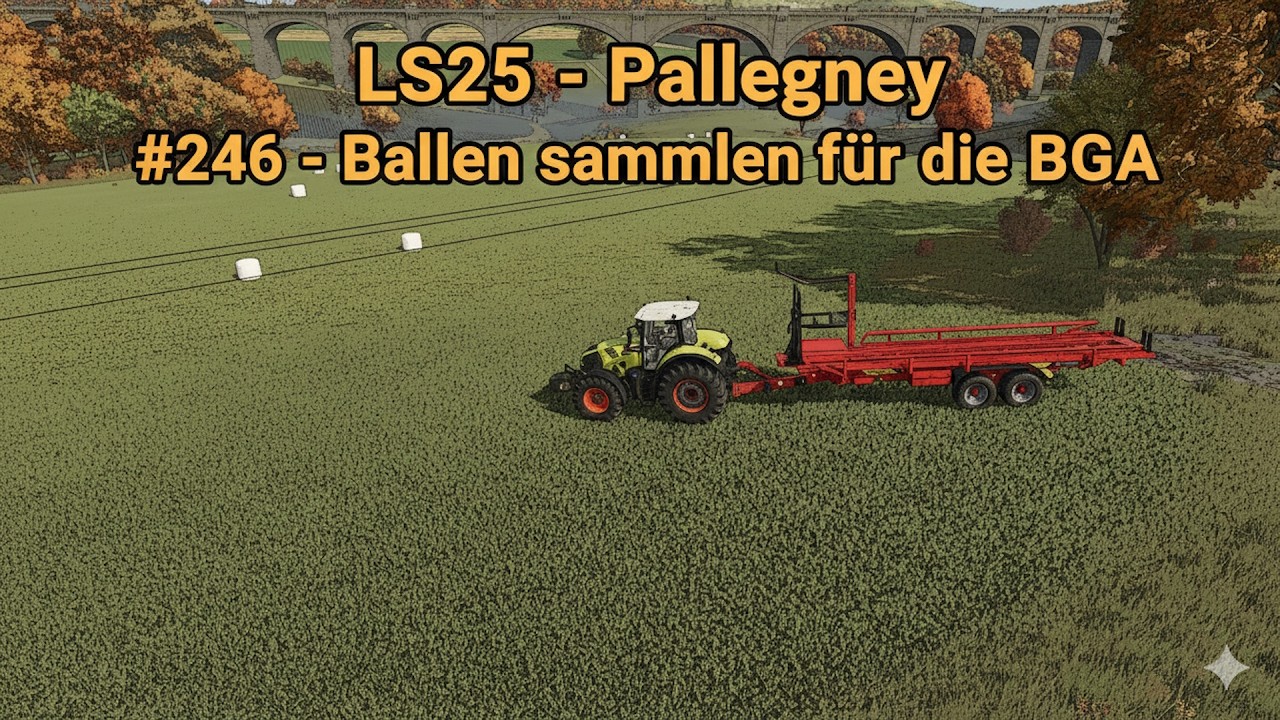 LS25 – Pallegney #246 - Ballen sammeln für die BGA -