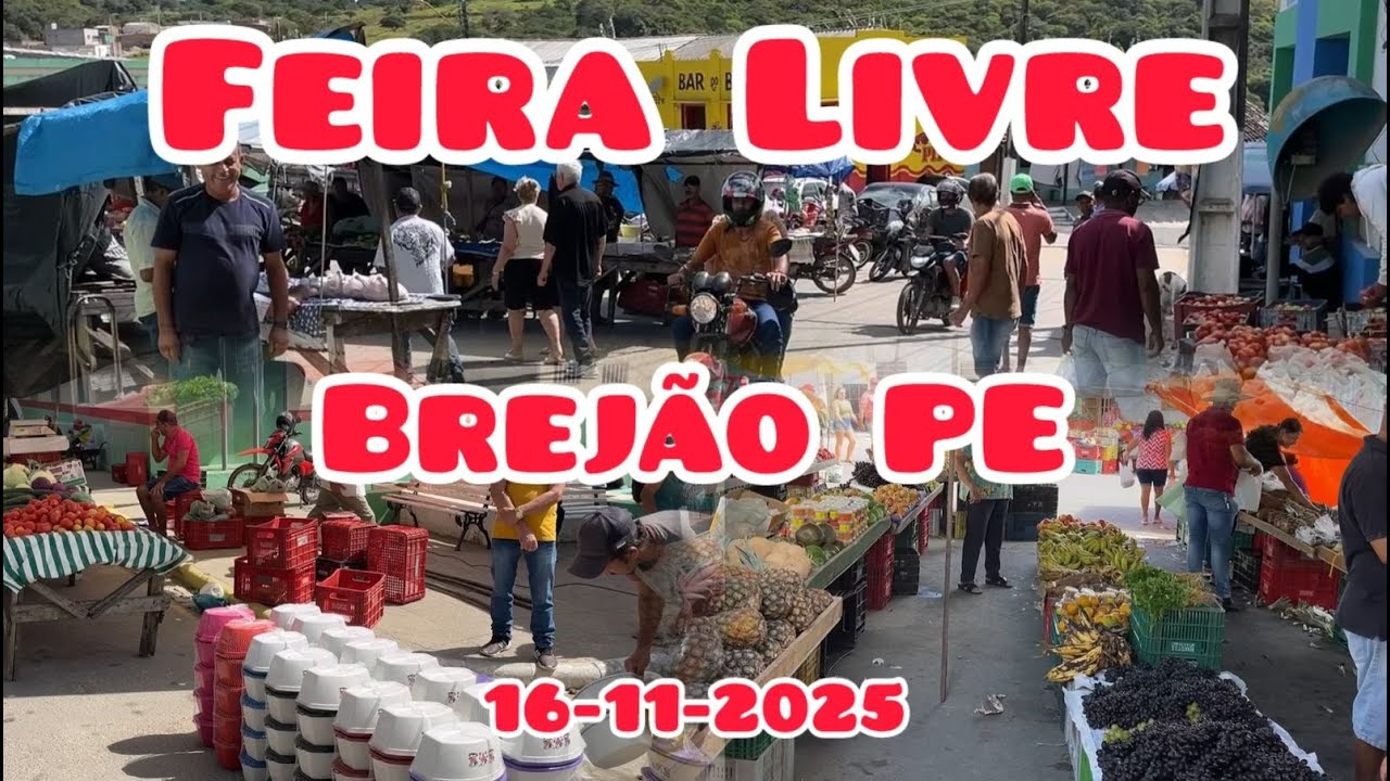 FEIRA LIVRE DE BREJÃO 16/11/2025 #feira #domingo #nordeste