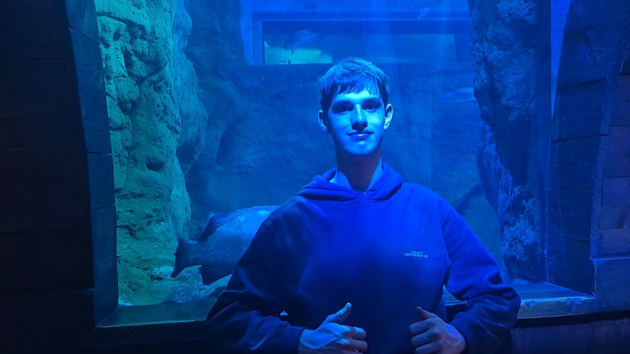 Dag 5: aquarium sevilla