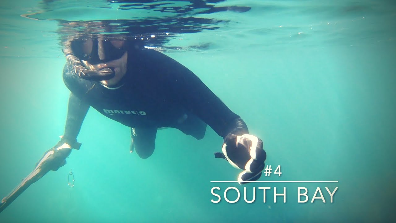 Best fishing and diving spots in #KAIKOURA, South Island, New Zealand ( ... and a big #blueMoki )