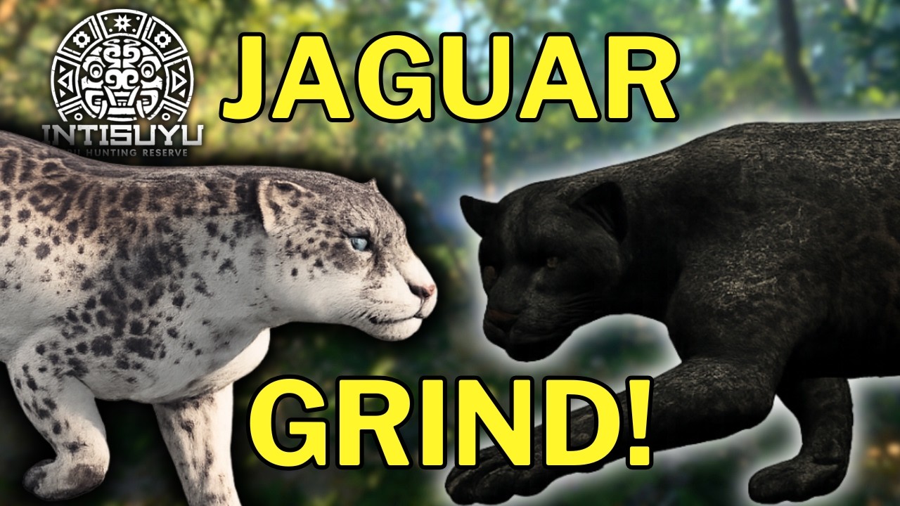The Great One Jaguar Grind Begins! 🐆