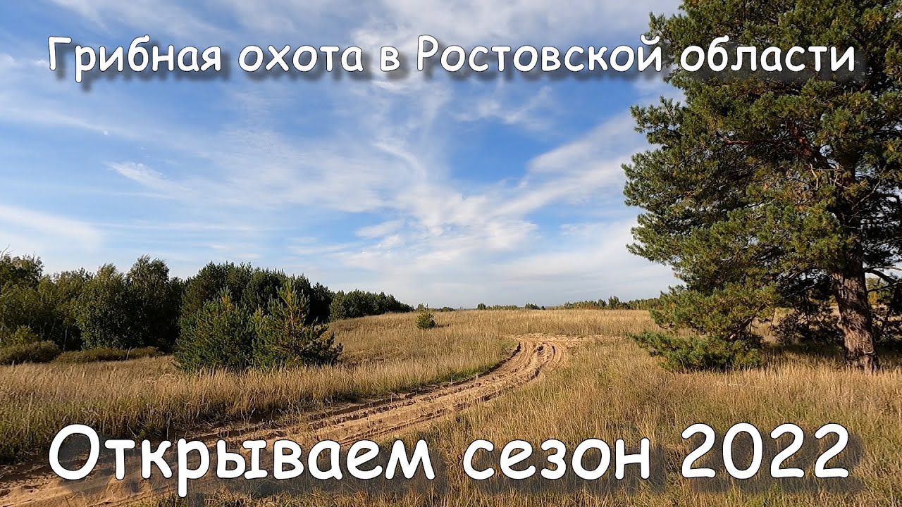 Грибная охота в Ростовской области. Открытие сезона 2022